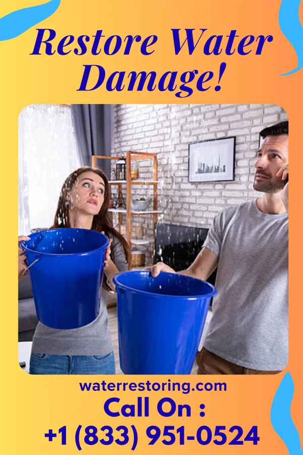 water restoration United Restoration Experts Big Island